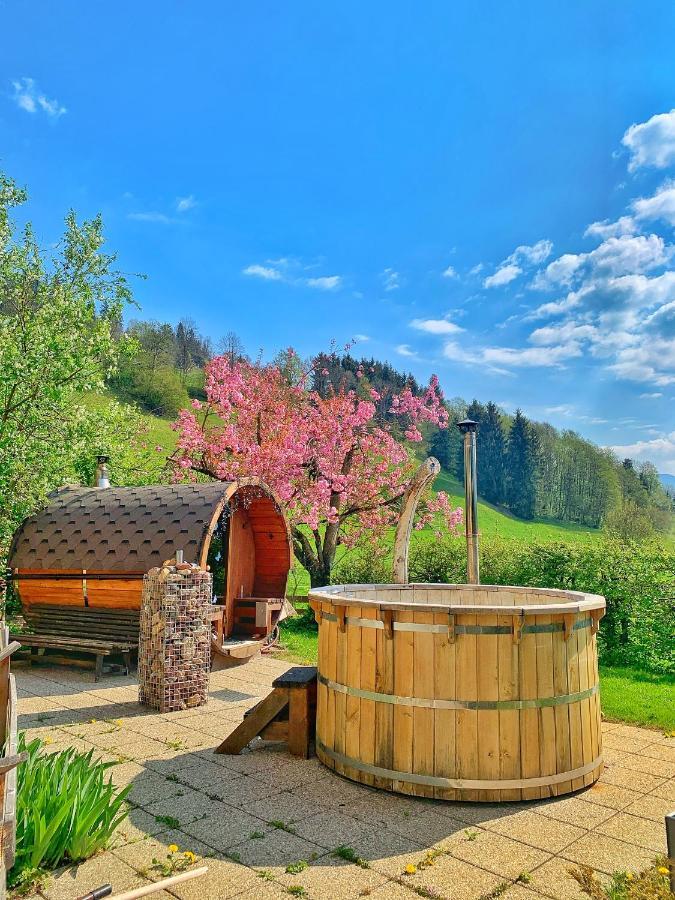 Hotel Garni Wieshof Kirchberg in Tirol Exterior foto