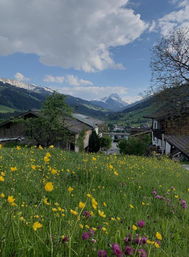 Hotel Garni Wieshof Kirchberg in Tirol Exterior foto