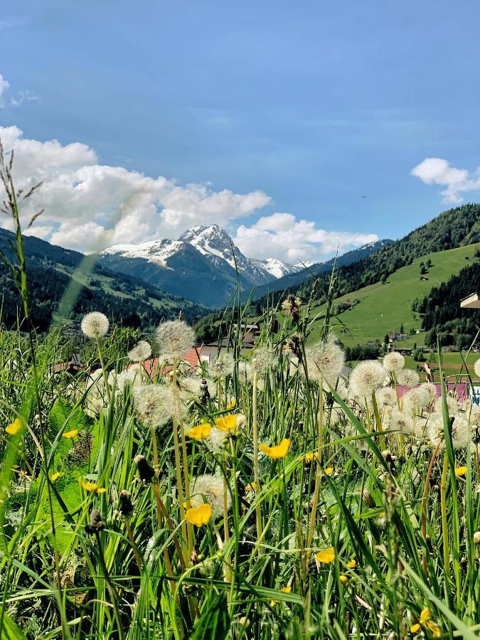 Hotel Garni Wieshof Kirchberg in Tirol Exterior foto